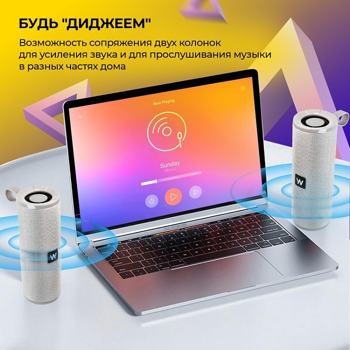 Колонка портативная WALKER WSP-110 Bluetooth, серая