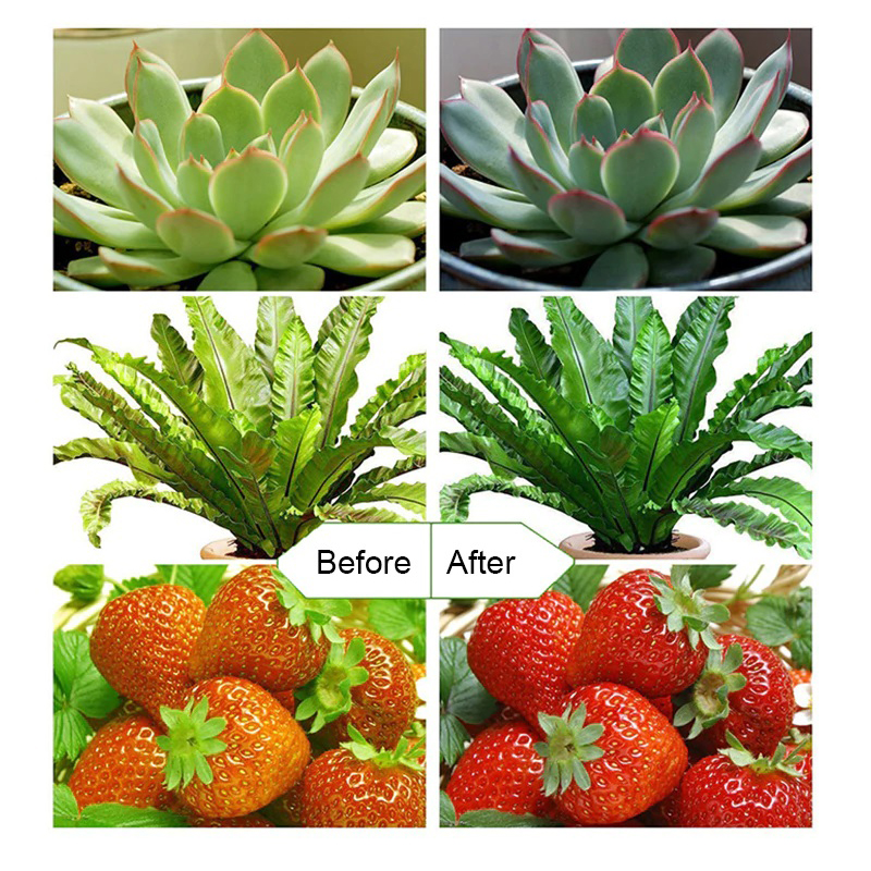 Фито-лампа Огонек OG-LDP08 на прищепке 40Вт