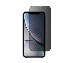 Защитное стекло iPhone XS Max/ 11 Pro Max Матовое, черное