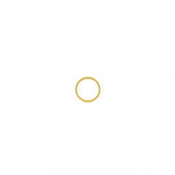 Кольцо основной камеры iPhone 11 Pro Золото